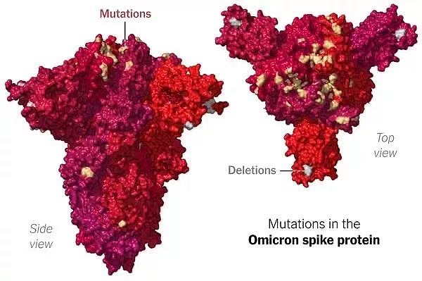 英国官员称omicron将在几天内成为该国主要流行毒株 - 1