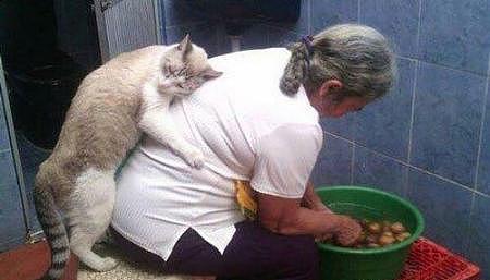 橘猫陪奶奶剥蒜，奶奶喝水回来见猫躺蒜盆里，大笑：熏晕了 - 1