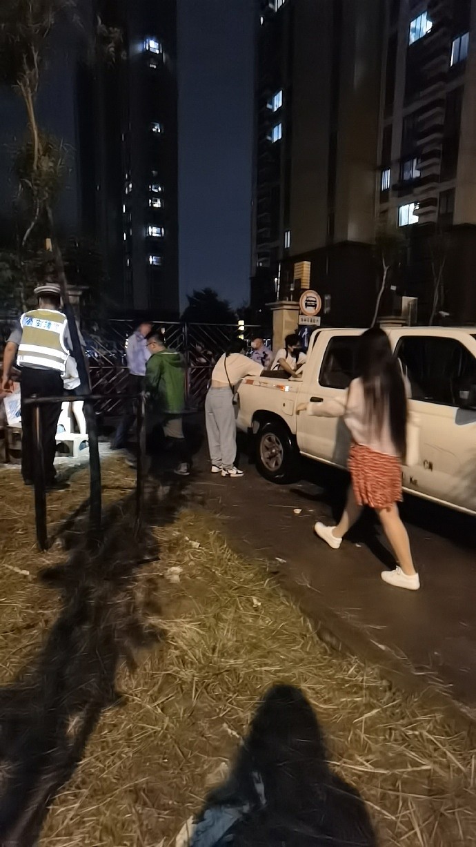 上海百余宠物盲盒因快递不敢派送被遗弃路边 警方已介入 - 1
