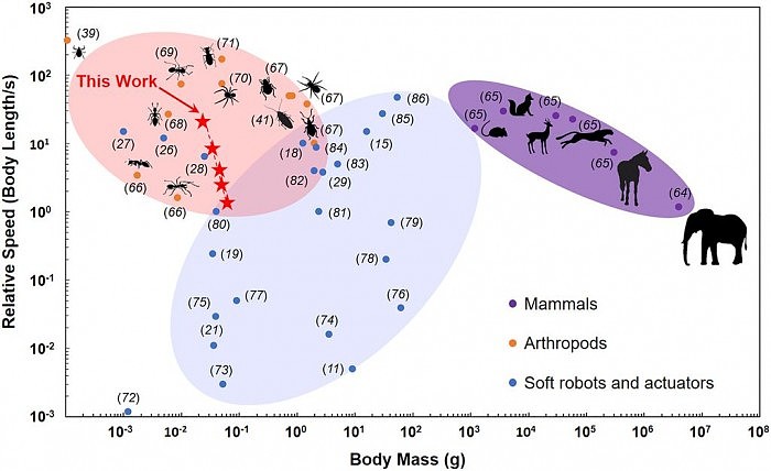 [图]脚踩也没事 科学家以昆虫为灵感研发出高度灵敏性小型机器人 - 6