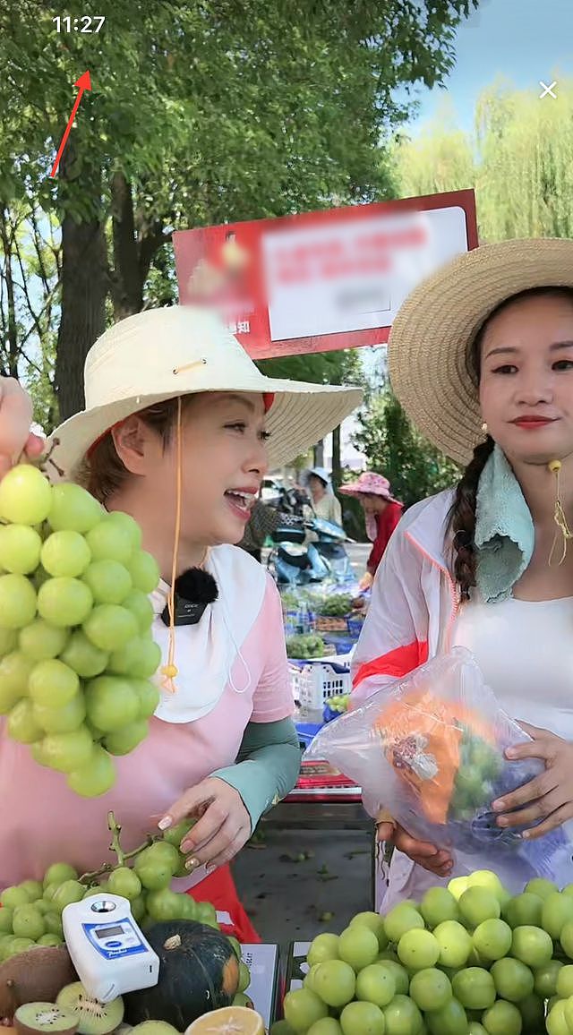 55岁港星湖南县城摆摊卖水果，40度戴草帽似村妇，卖力吆喝无人买 - 7