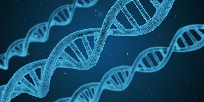 DNA-3.jpg