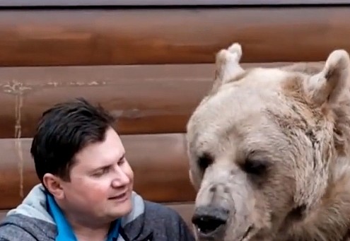 北极熊迁移新居遇到阿拉斯加，抱着玩耍不放，熊：感动不？ - 9