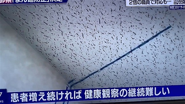 尴尬一幕：日本手绘柱状图统计确诊 竟画到天花板上 - 4