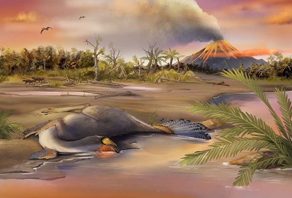 古生物学家可能发现1.25亿年前的恐龙DNA - 1