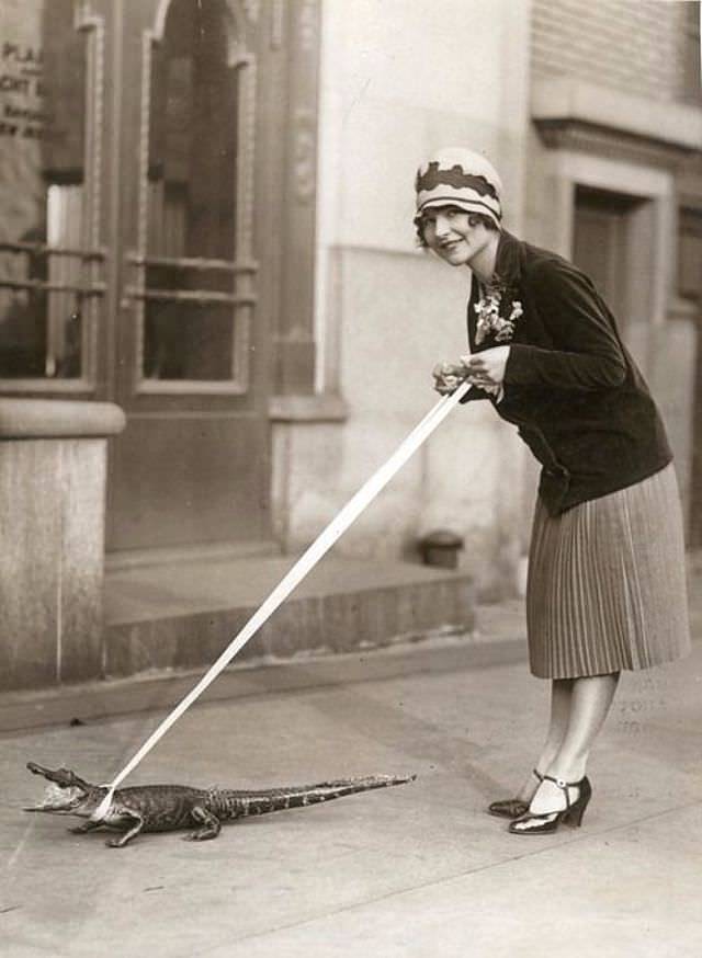旧影拾记：20世纪老照片，美国人把鳄鱼当宠物，玩弄于股掌之中 - 7