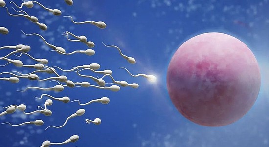 精子年龄新测量方法可能是妊娠成功的预测指标 - 1