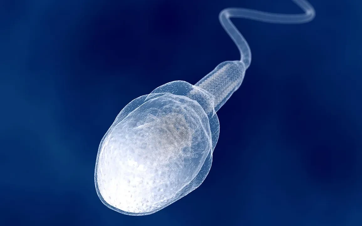 Giant-Sperm-Cell-Illustration.webp