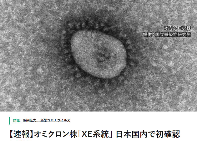 日本发现首例新冠重组毒株XE感染病例 - 1