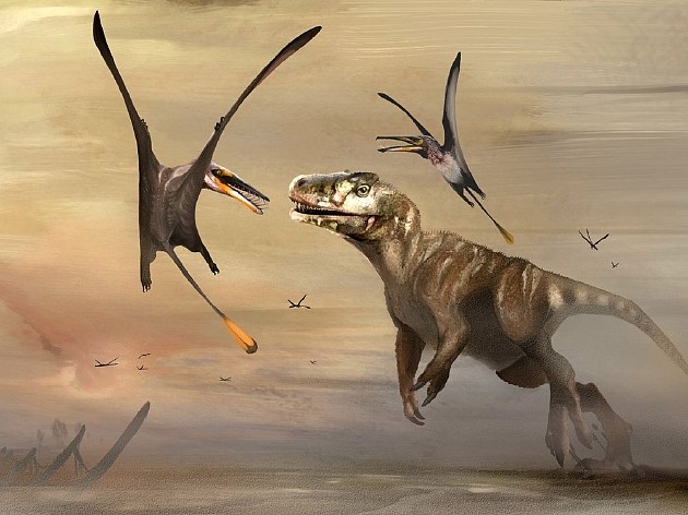 苏格兰发现侏罗纪时期最大翼龙化石 翼展2.5米 - 1
