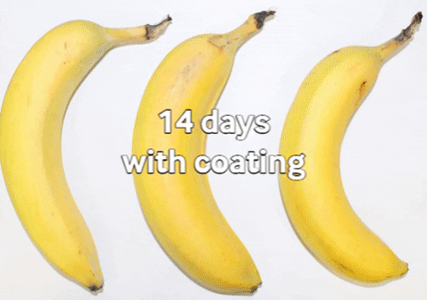 大规模取代塑料的希望，胡萝卜“摇身一变”，香蕉保质期延长7天 - 6