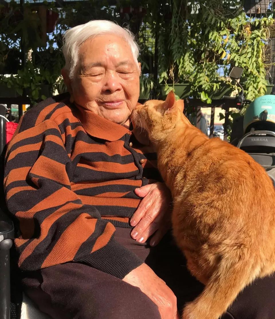93岁奶奶靠轮椅代步终日厌世，遇橘猫后性格转变，全家都感谢它 - 10