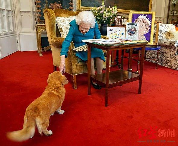 英女王接连退出重大公开活动甚至无法遛狗，消息人士：年事已高，与疾病无关 - 3