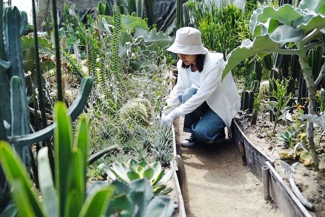 北京夫妻两年无收入，造1500㎡植物园：跟一草一木学做人 - 17