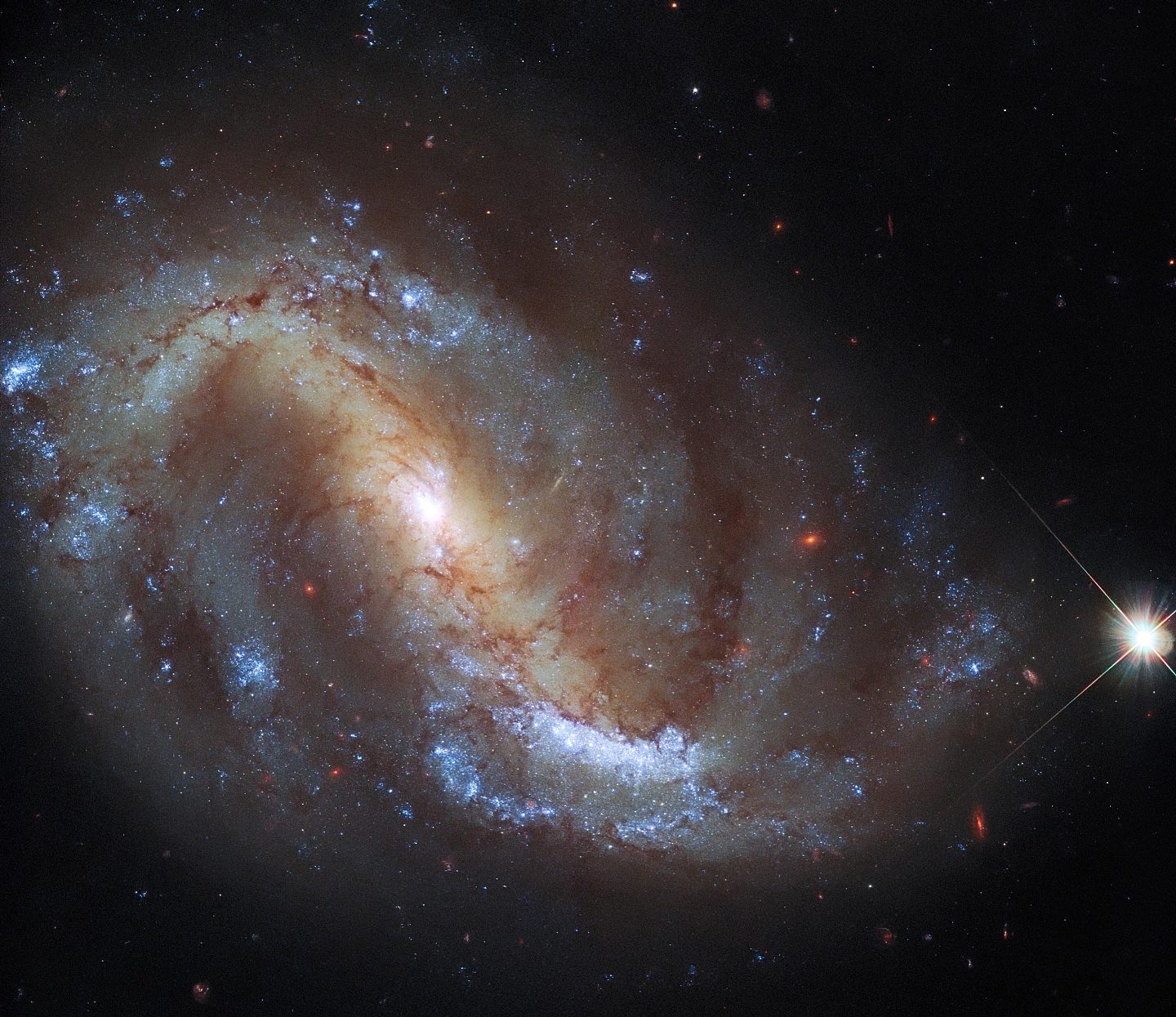 哈勃太空望远镜前往银河系“观鸟” - 1