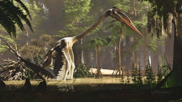 Quetzalcoatlus-northropi-777x437.jpg