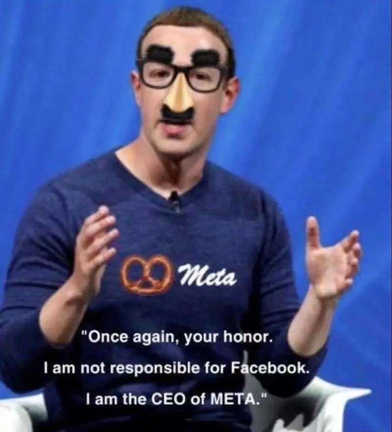 被全球网民嫌弃的“Meta Zuckerberg” - 4