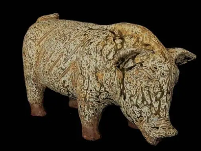 猪的起源之谜：探索家猪的祖先与起源地 - 1