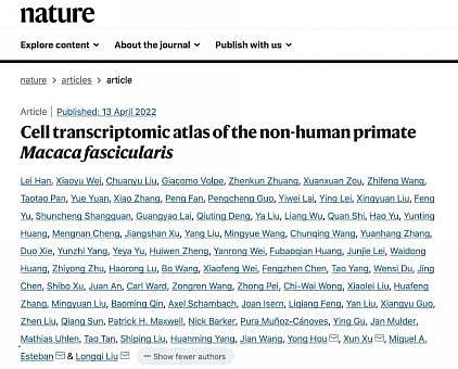华大发布全球首个非人灵长类动物全细胞图谱 助力人类疾病研究 - 1