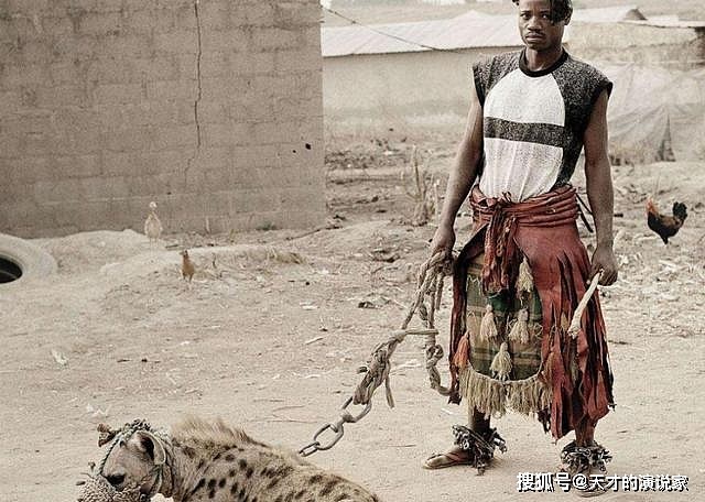 非洲人能“驯服”鬣狗？怪不得连狮子都不怕的它，看到非洲人就跑 - 9