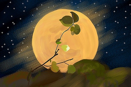 千里共婵娟和露似真珠月似弓哪句诗词描写的是中秋的月亮 - 3