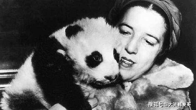 她83年前从四川窃走两只熊猫，过海关登记的是：形状奇异的哈巴狗 - 6