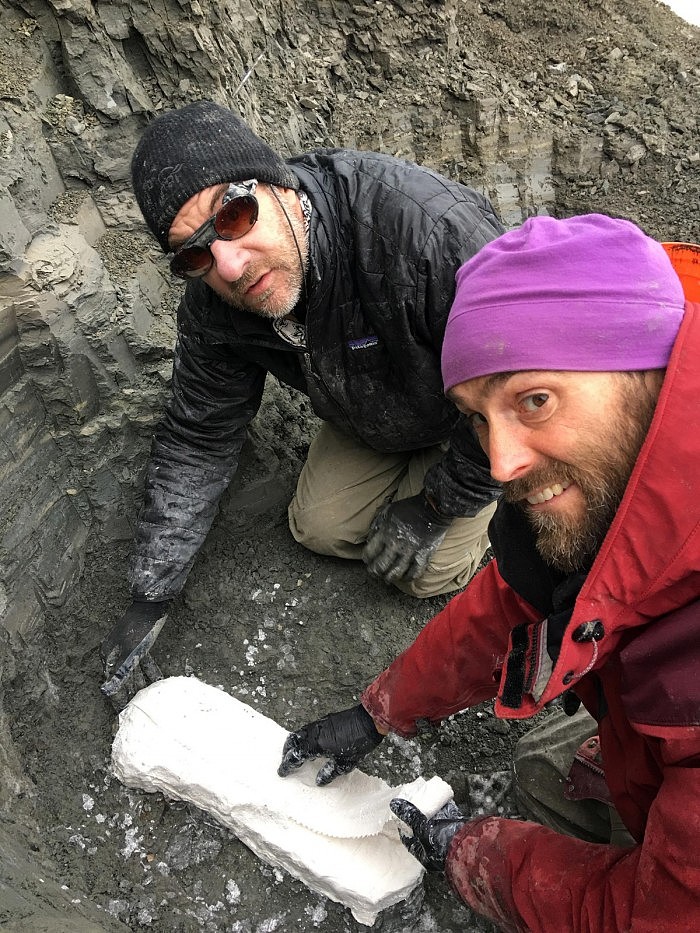 研究小组在北极地区发现幼年恐龙遗迹 显示恐龙可能是温血动物 - 2