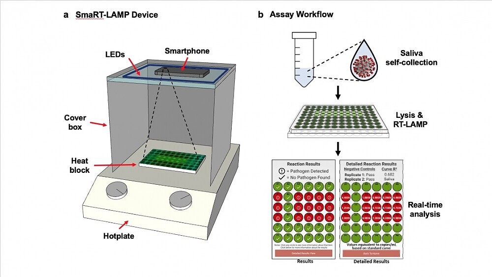 廉价、快速、基于智能手机的COVID检测试剂盒：PCR一样准确 - 3