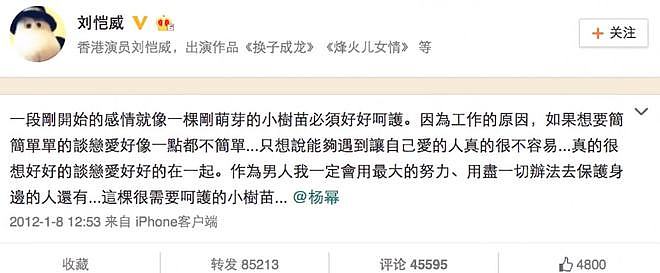 黄晓明离婚28天，Angelababy微博引热议：原来，这才是离婚真相？ - 33