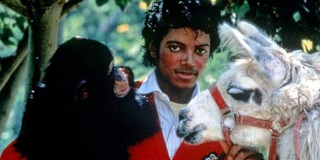 迈克尔·杰克逊的宠物猩猩泡泡健康状况良好，在动物中心安享晚年 - 2