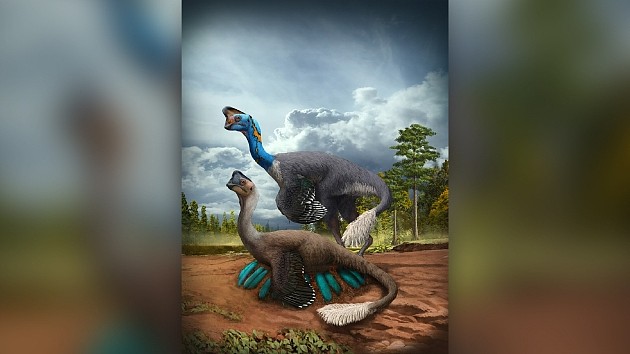 2021年的十个恐龙神奇大发现：首个保存完好的恐龙“屁眼” - 5