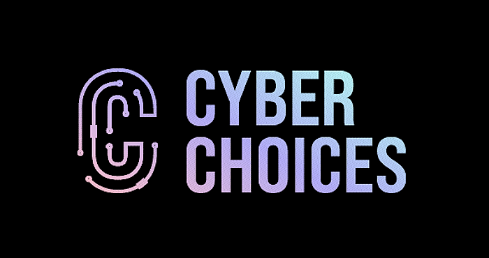 英国网络犯罪打击部门欲借Cyber Choice教育来化解校园DDoS攻击 - 1