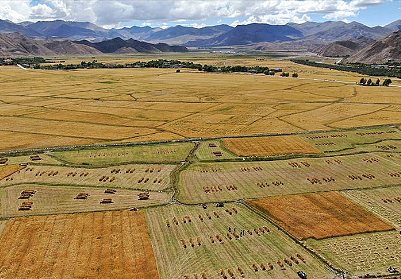 世界最高的农业种植区是哪里？是西藏吗？ - 1