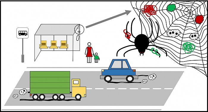 科学家：蜘蛛网或可帮助人们追踪空气中的微塑料含量 - 2