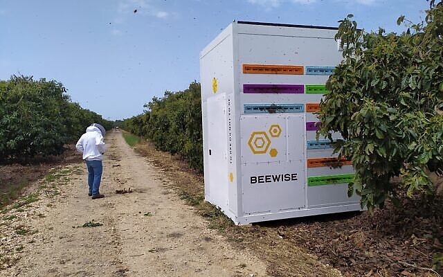 以色列蜜蜂技术初创公司Beewise再获8000万美元融资 - 3