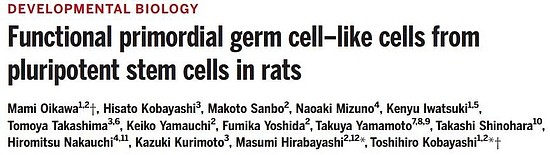 《科学》突破：用干细胞制造可育精子 不育大鼠也有了健康后代 - 1