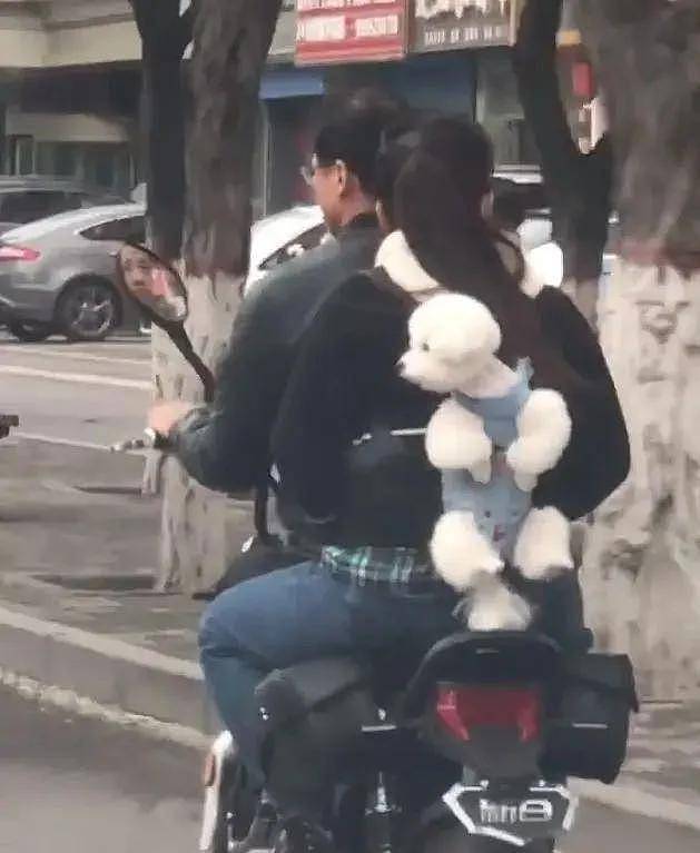主人骑摩托车带狗狗去兜风，狗：快放我下来，我害怕啊 - 2