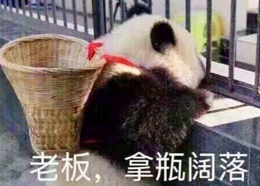 熊猫团子背着背篓买零食，小模样太可爱，网友：卖萌为生 - 2