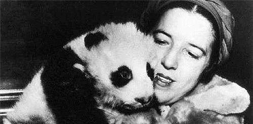 85年前，那个2次将熊猫从中国偷走的美国女人露丝，最后结局悲惨 - 2
