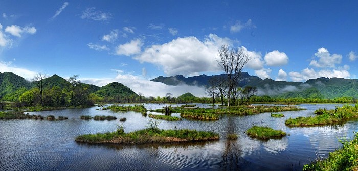 Dajiu-Lake-Wetland-in-Shennongjia-China-2048x979.jpg