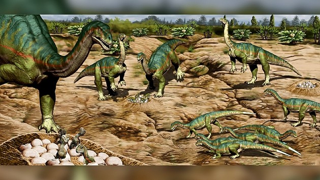 2021年的十个恐龙神奇大发现：首个保存完好的恐龙“屁眼” - 4