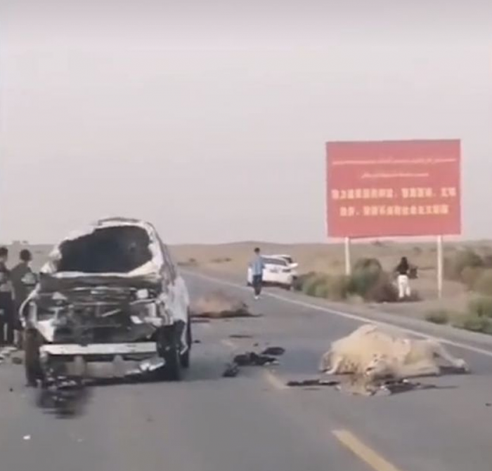 戈壁公路上又见小车与骆驼相撞：3只骆驼身亡 - 1