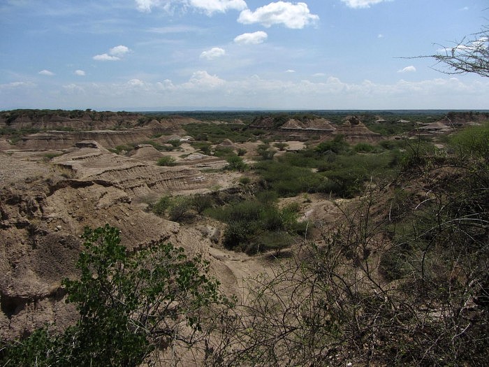 研究显示非洲东部最早的人类遗骸可追溯到23万多年前 - 1