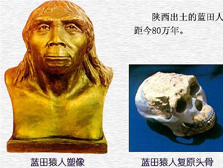 蓝田人：陕西的古人类遗迹 - 1