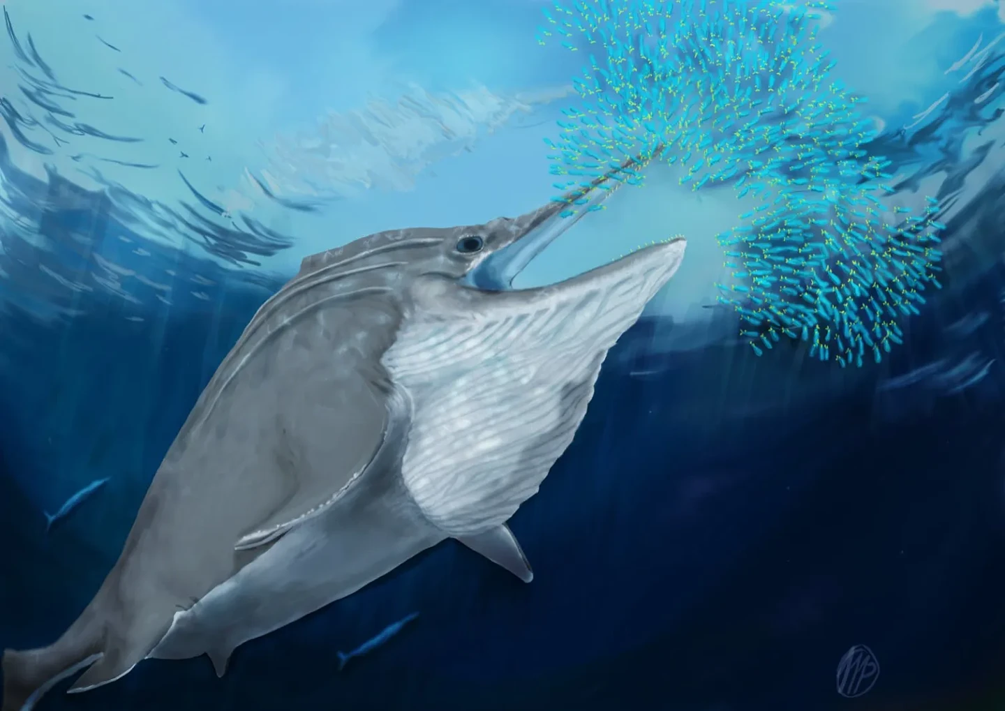 牙齿化石揭示了古代“巨型海洋生物”的真相 - 2