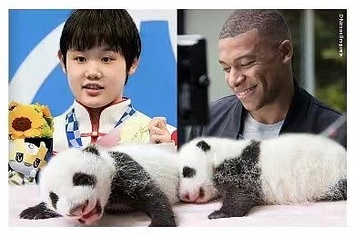 姆巴佩与中国跳水名将张家齐将为中国旅法熊猫幼崽命名 - 1