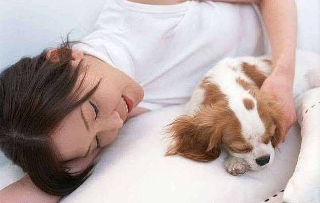 狗狗爱“上你的床”，除了想睡觉，还可能是这些原因 - 4