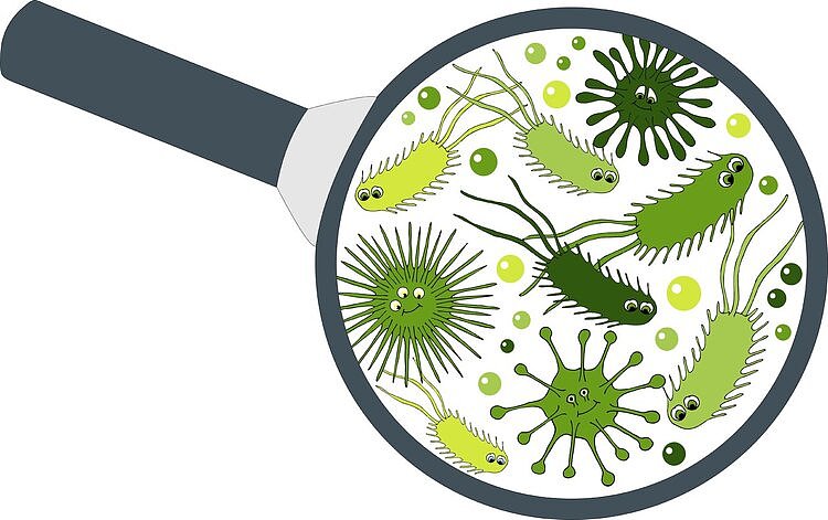 感染食肉菌后，身体会经历什么？器官被“吃掉”，身体逐渐腐臭 - 1