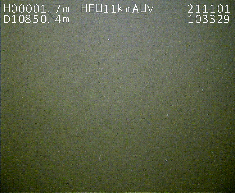 10896米：哈工程“悟空号”AUV再创潜深纪录 - 8