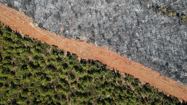 受气候变化影响，森林野火发生的概率越来越高。在这种情况下，森林碳补偿项目如何能得到保障呢？